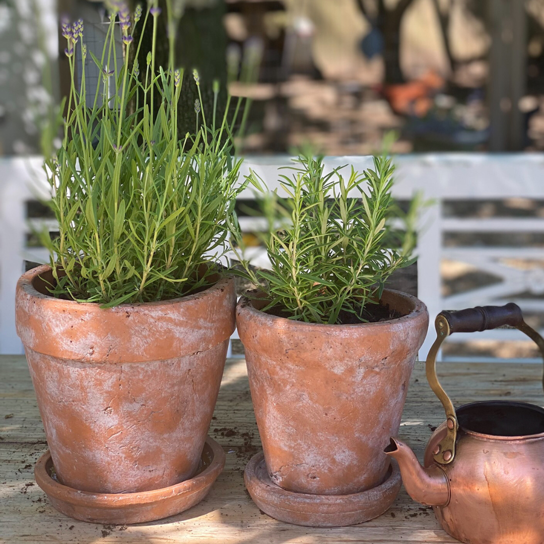 Large Venice Cement Planter with Dish, Handcrafted in Aged Terracotta 8"D x 8"H
