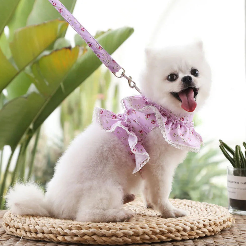 Dainty Floral & Lace Dog Harness