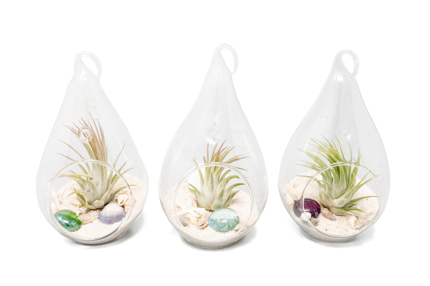 Set of 3 Teardrop Beach Terrariums with White Sand