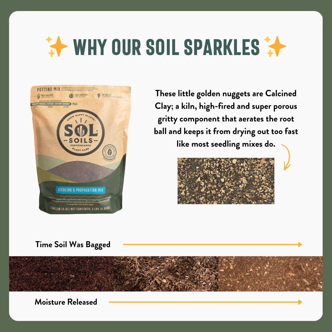Seedling & Propagation Mix