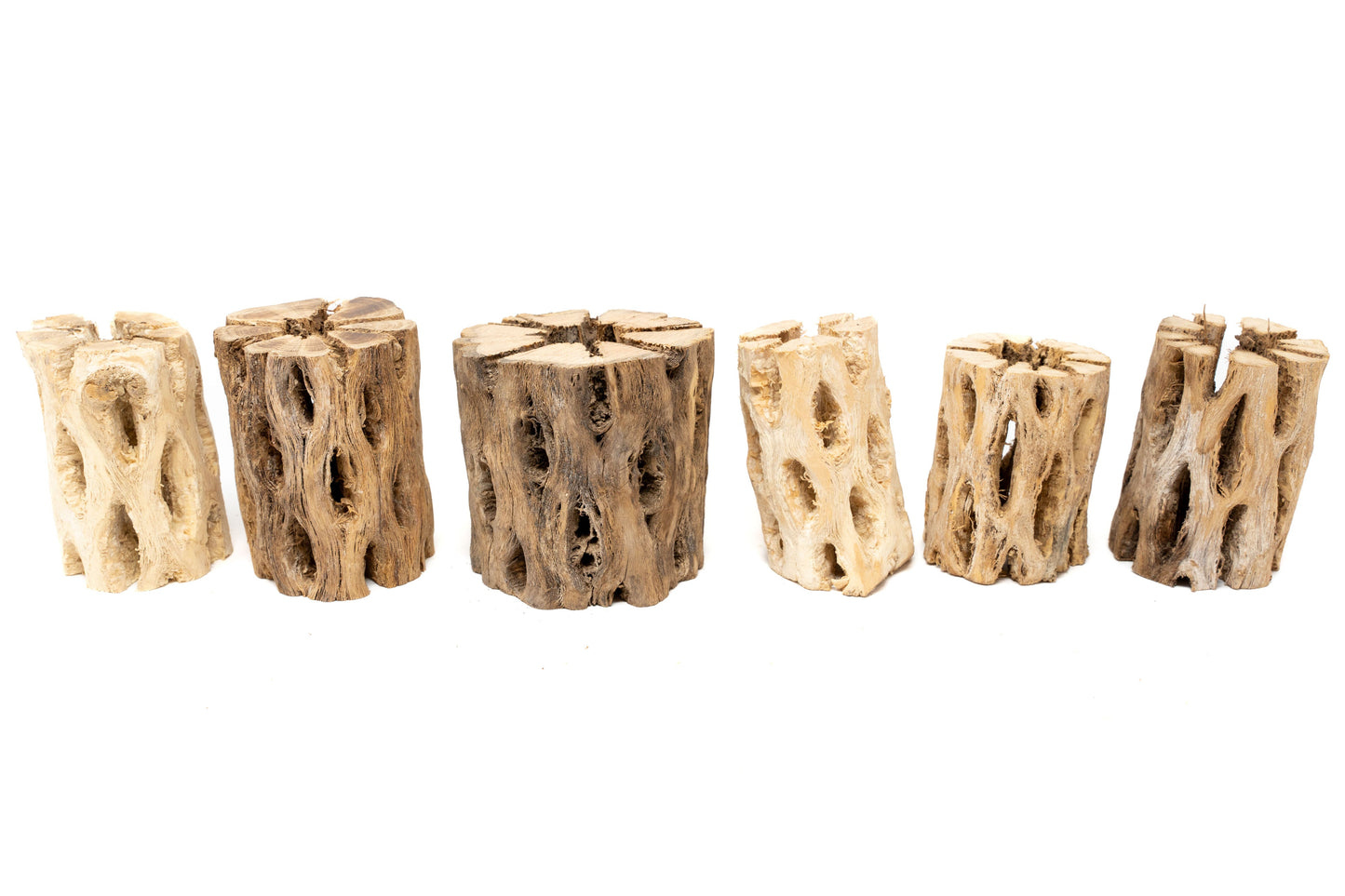 Natural Cholla Wood Container - 3 Inches Tall
