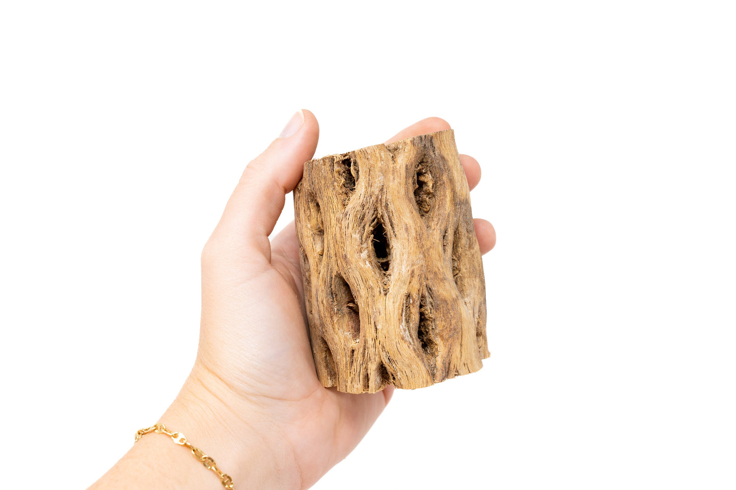 SALE - Natural Cholla Wood Containers with Assorted Tillandsia Air Plants - Set of 3 - 20% Off
