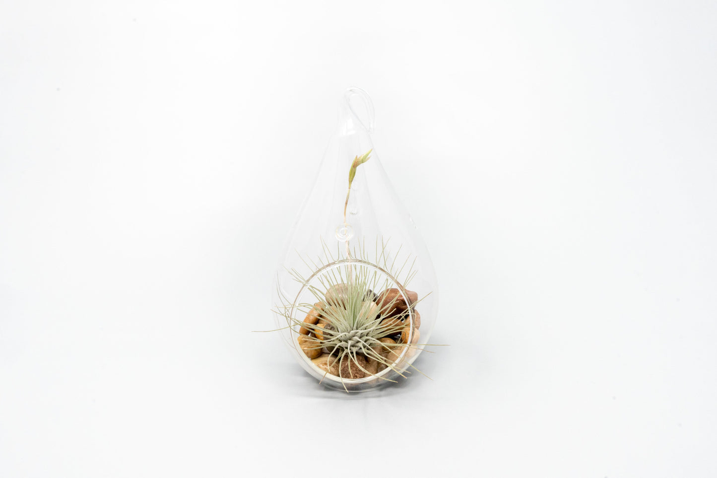 Set of 3 Airy Teardrop Terrariums with Flat Bottoms