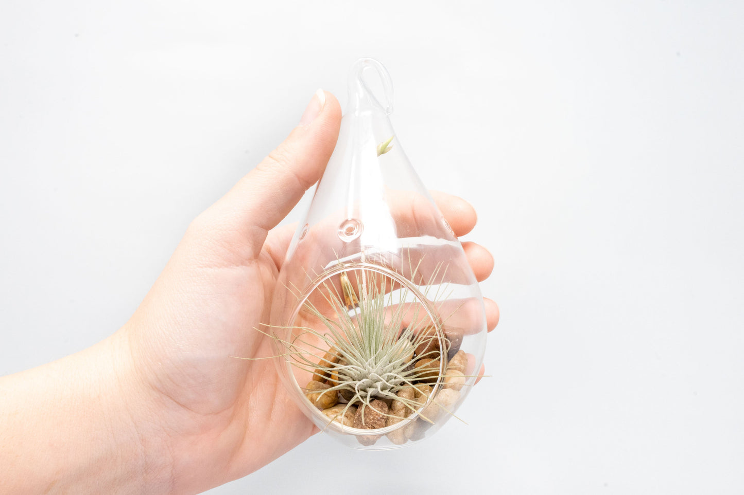 Set of 3 Airy Teardrop Terrariums with Flat Bottoms