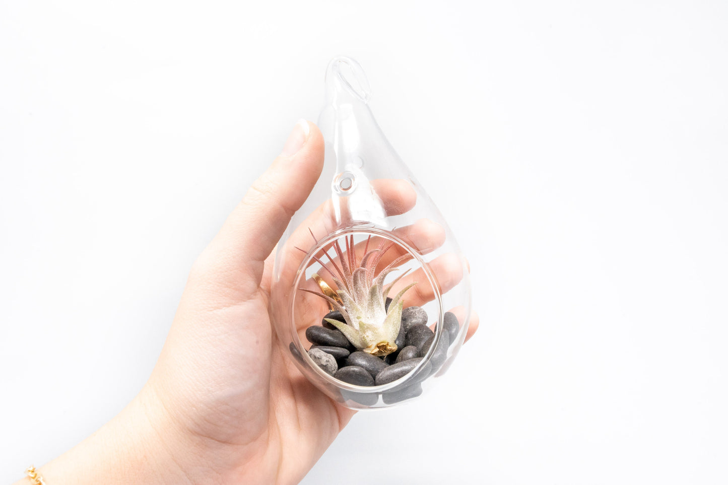 Set of 3 Red Hots Complete Teardrop Terrariums