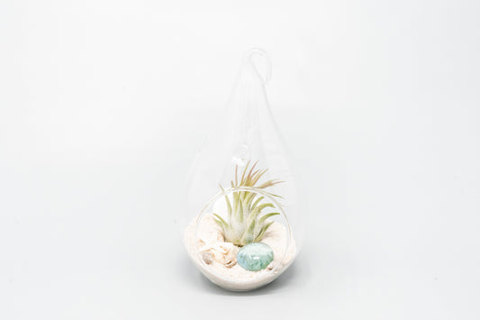 Set of 3 Teardrop Beach Terrariums with White Sand