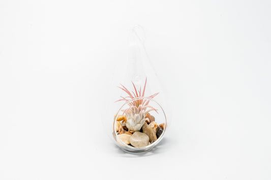 Set of 3 Airy Teardrop Terrariums with Flat Bottoms