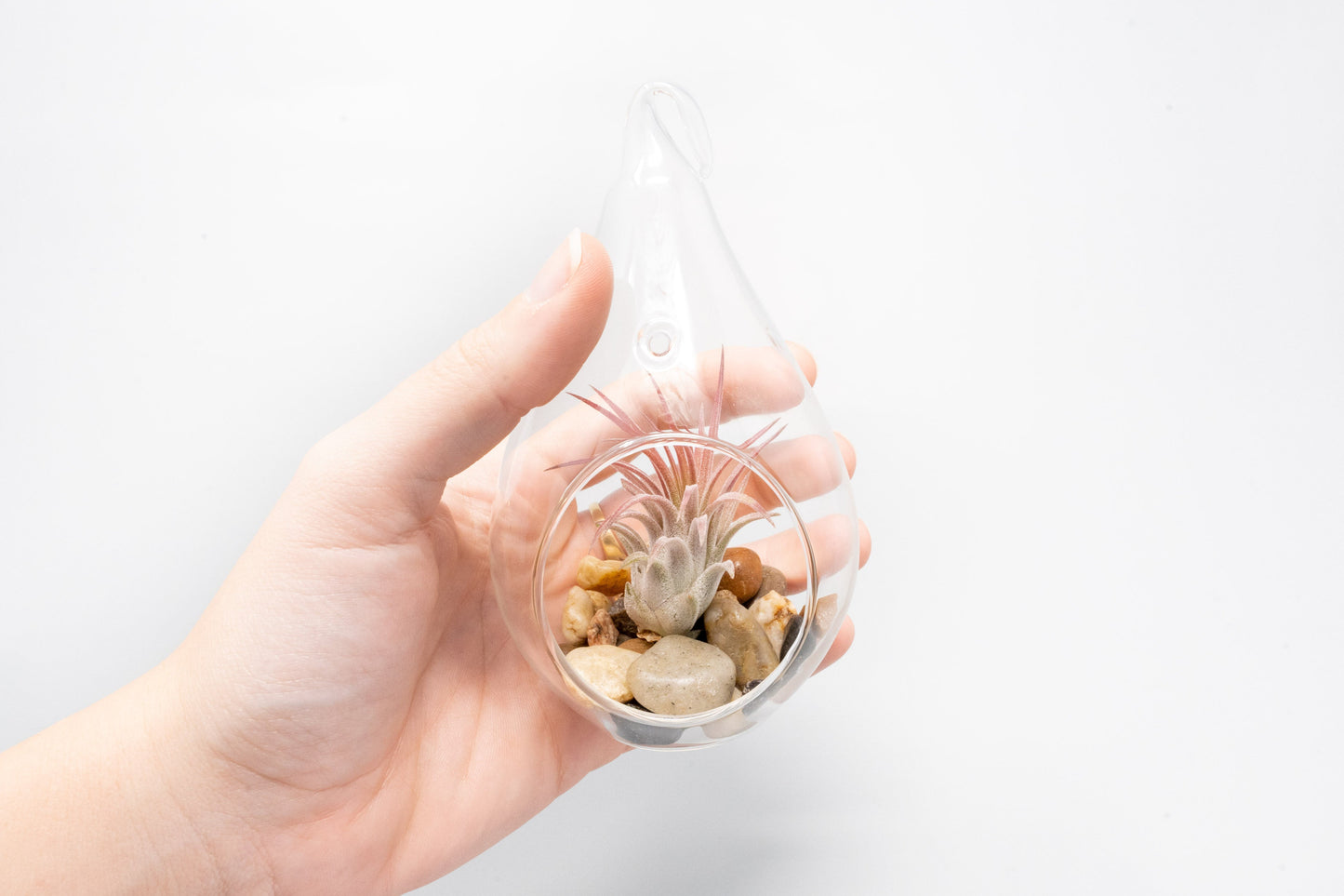 Set of 3 Airy Teardrop Terrariums with Flat Bottoms