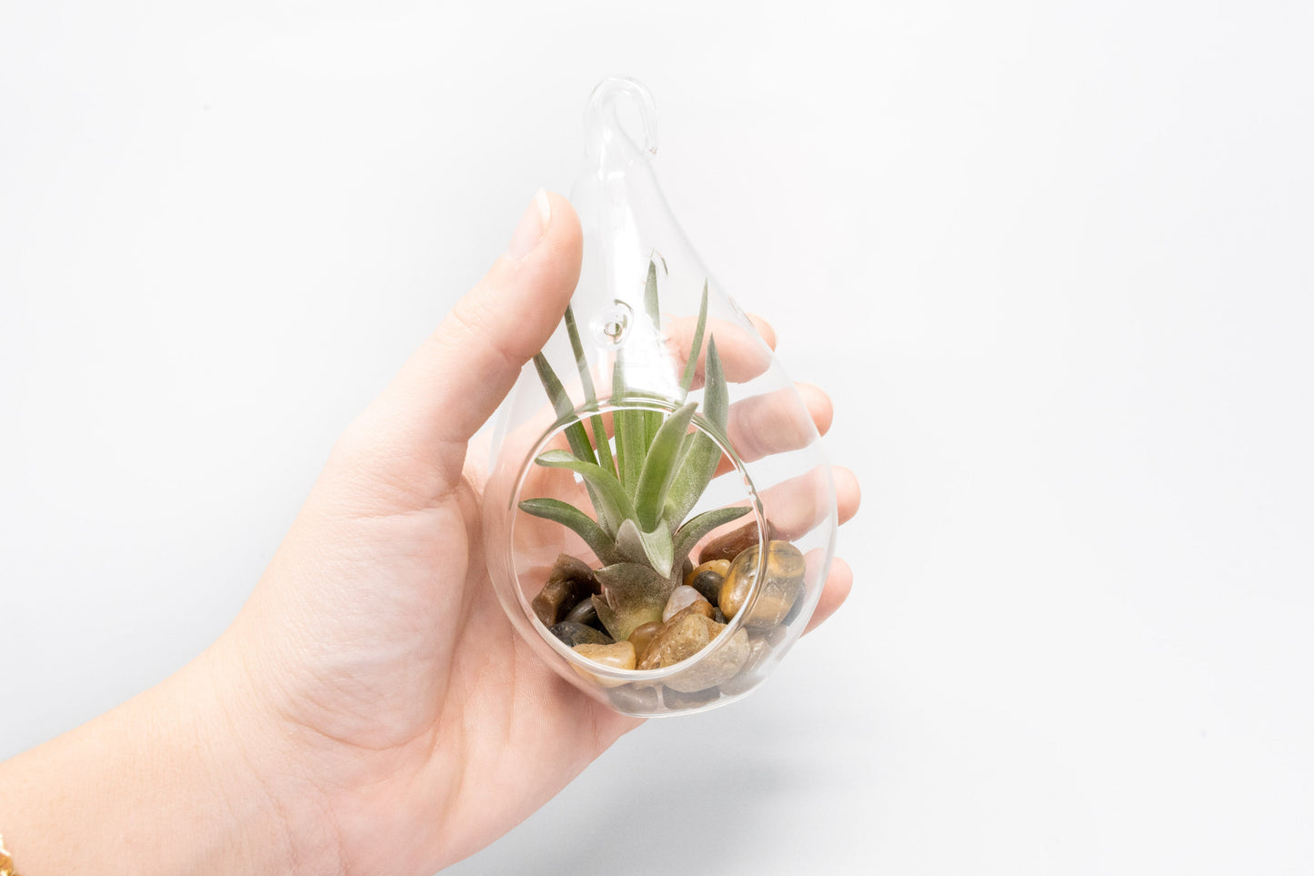 Set of 3 Airy Teardrop Terrariums with Flat Bottoms