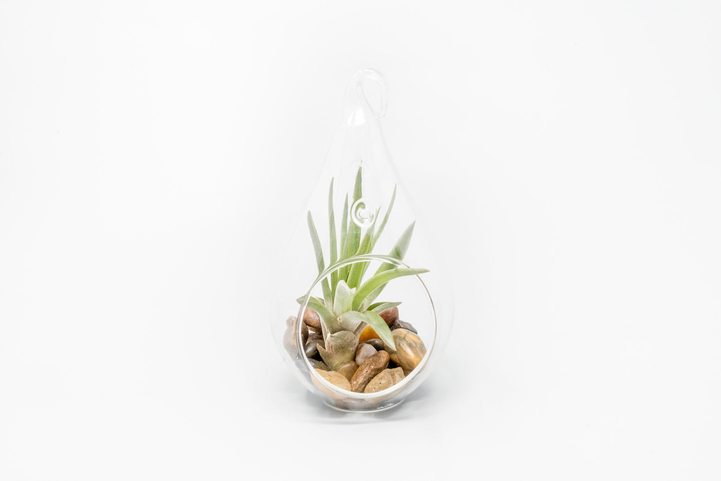 Set of 3 Airy Teardrop Terrariums with Flat Bottoms