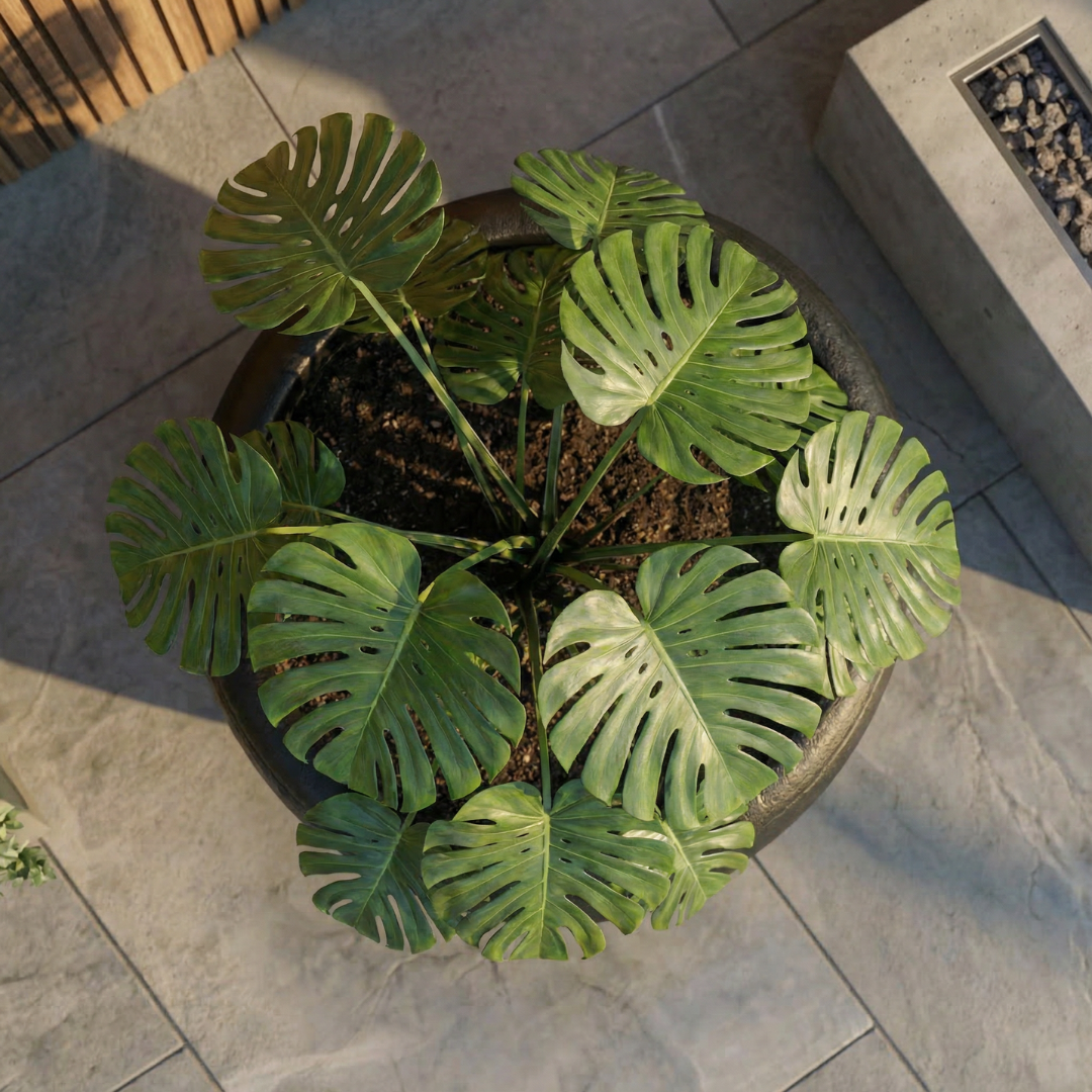 Titan XXL, Fiber Clay Pot, Hand-painted in Aged Black or Aged White, 28.3"D x 17"H