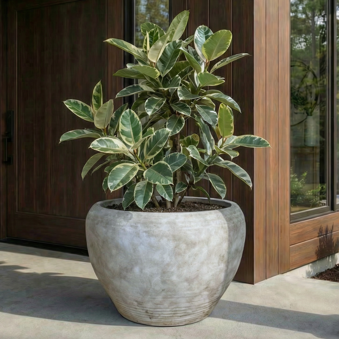 Titan XXL, Fiber Clay Pot, Hand-painted in Aged White or Aged Black, 28.3"D x 17"H