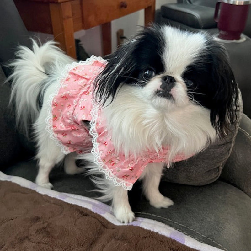 Dainty Floral & Lace Dog Harness