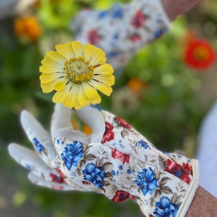 Garden Gift Box - Gloves and Snips