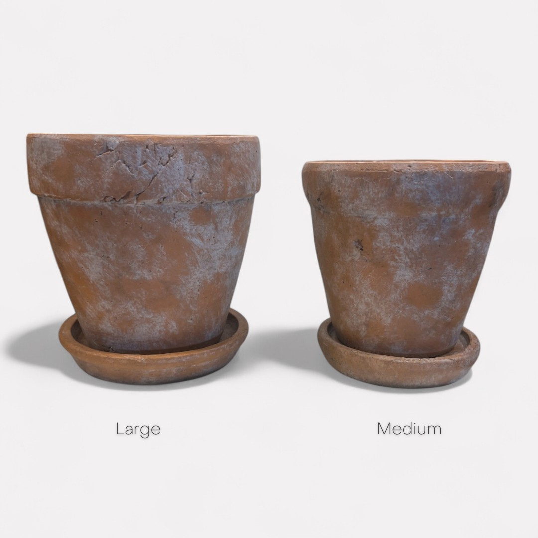 Large Venice Cement Planter with Dish, Handcrafted in Aged Terracotta 8"D x 8"H