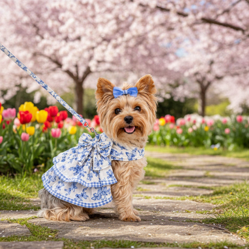 French Blue Toile Garden Dog Harness Dress & Leash Set